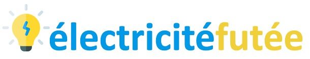 electricitefutee logo 2022